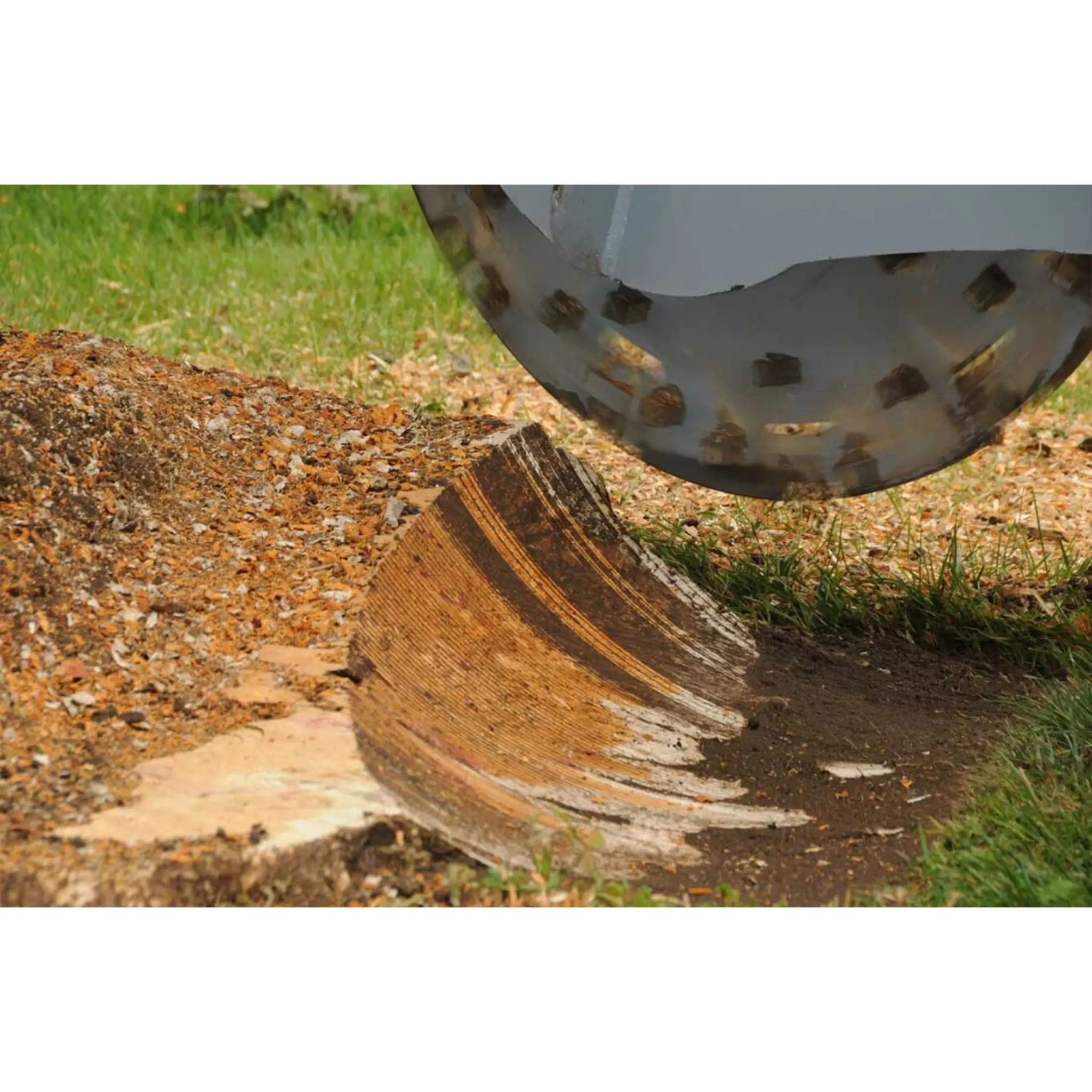 Baumalight 3P34 Stump Grinder For Tractors - Image 9